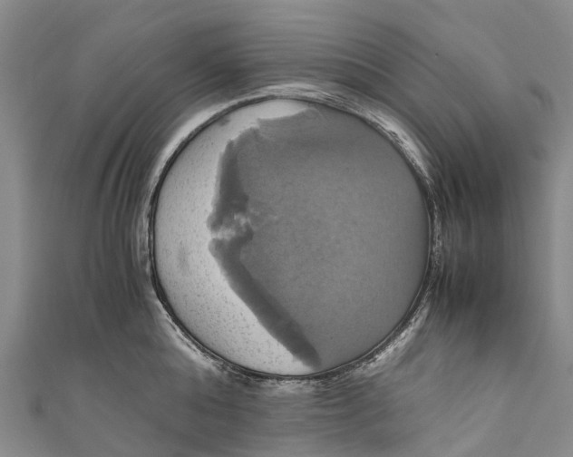 X0000110990808200907101429