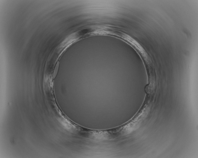 X0000110990809200907101429