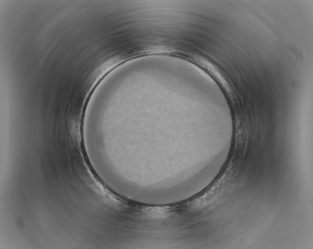 X0000110990810200907101429