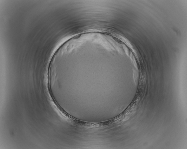 X0000110990811200907101429