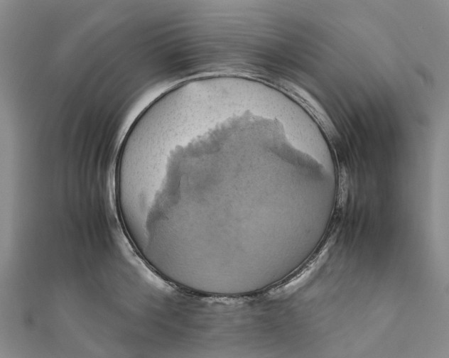 X0000110990812200907101429