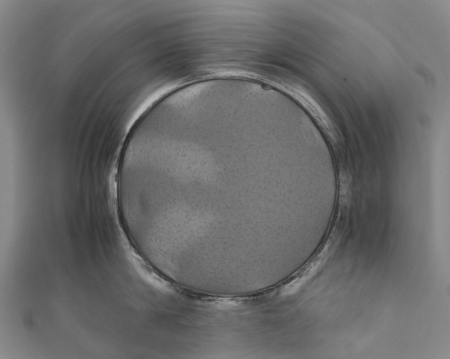 X0000110990814200907101429