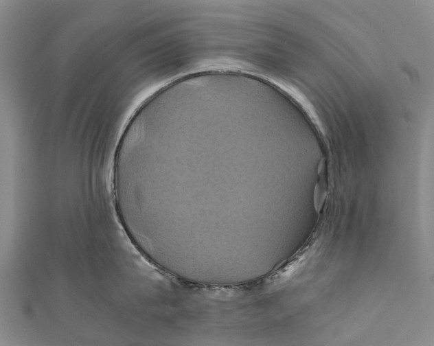 X0000110990815200907101429
