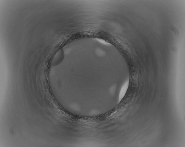 X0000110990817200907101429
