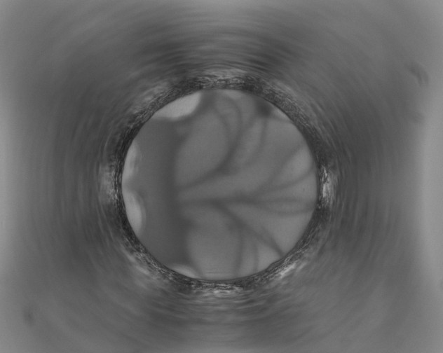 X0000110990819200907101429