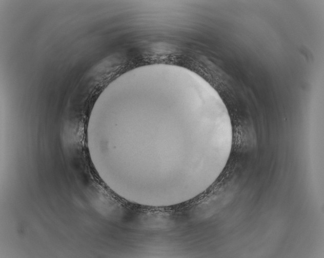 X0000110990820200907101429