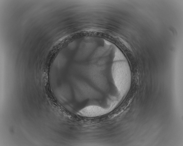 X0000110990821200907101429