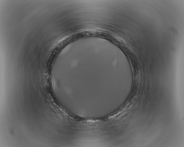 X0000110990822200907101429