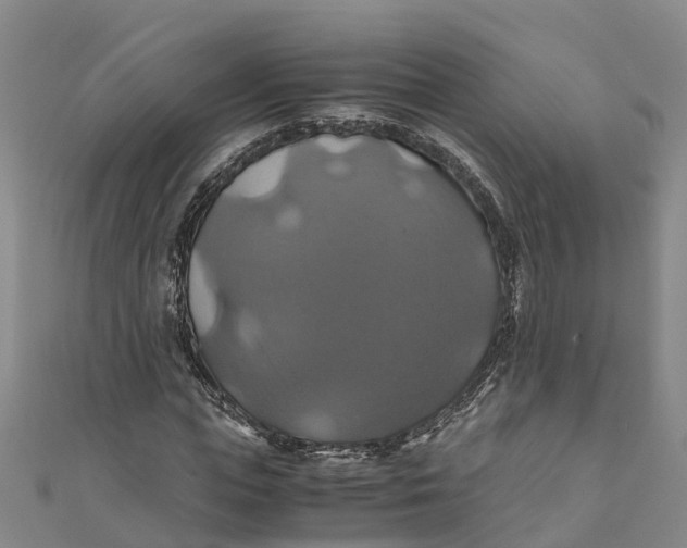 X0000110990823200907101429
