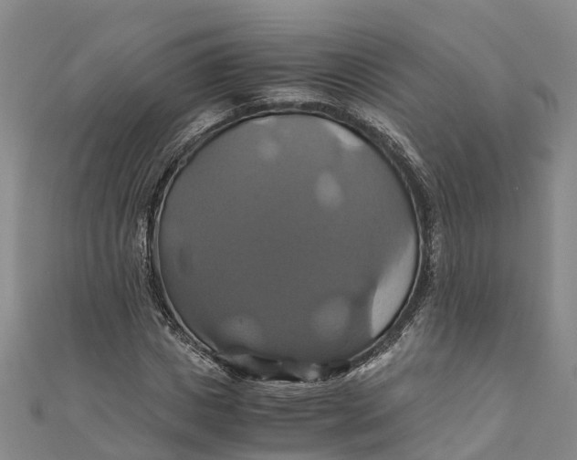 X0000110990825200907101429