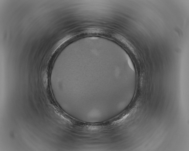 X0000110990829200907101429