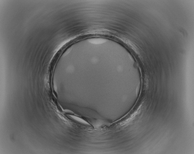 X0000110990830200907101429