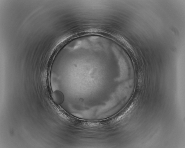 X0000110990831200907101429