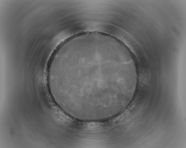 X0000110990832200907101429