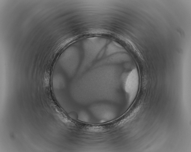 X0000110990833200907101429