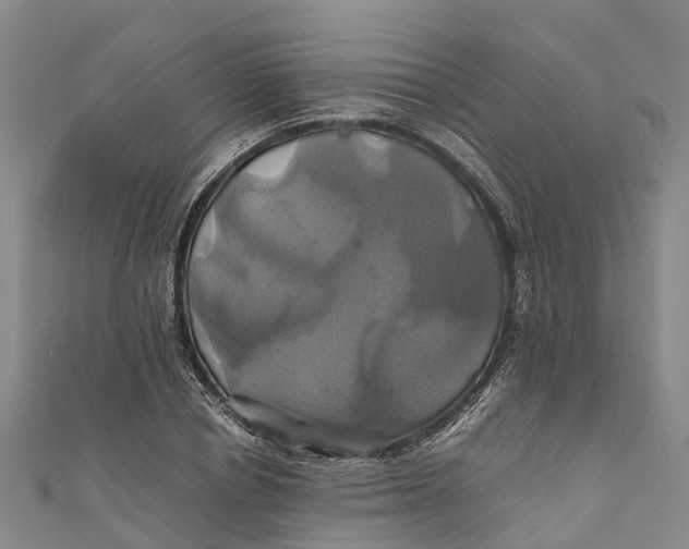 X0000110990834200907101429