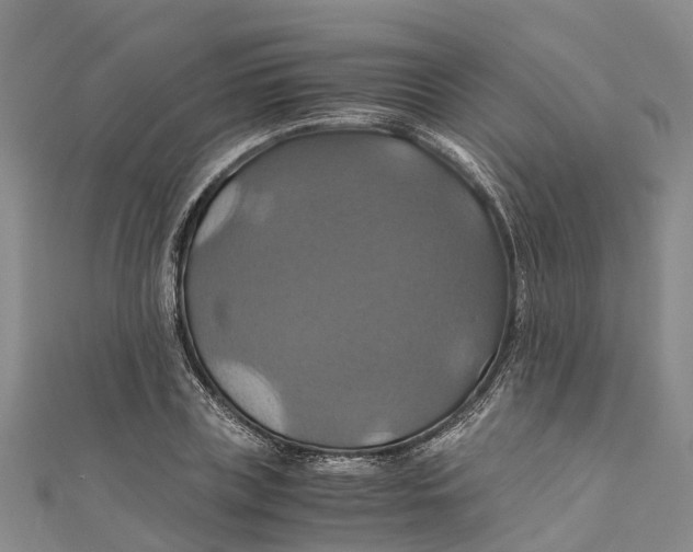 X0000110990835200907101429