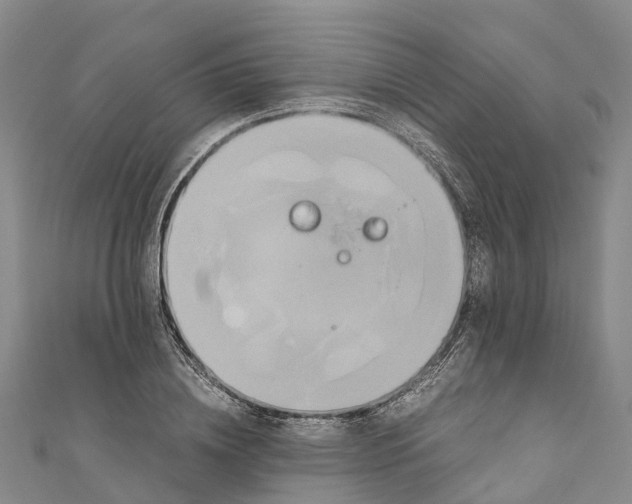 X0000110990836200907101429