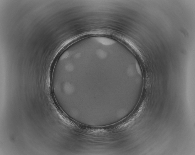 X0000110990837200907101429