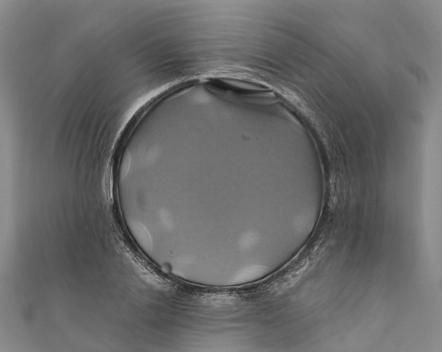 X0000110990838200907101429