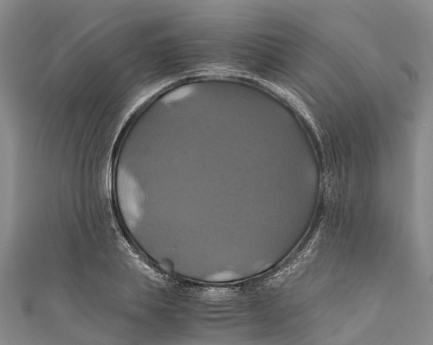 X0000110990839200907101429