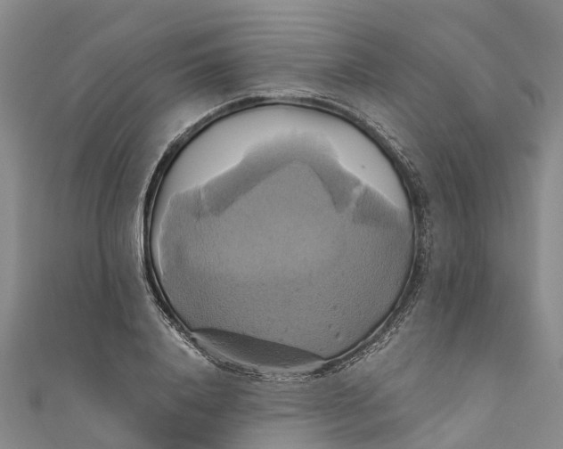 X0000110990840200907101429