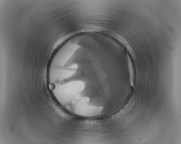 X0000110990842200907101429
