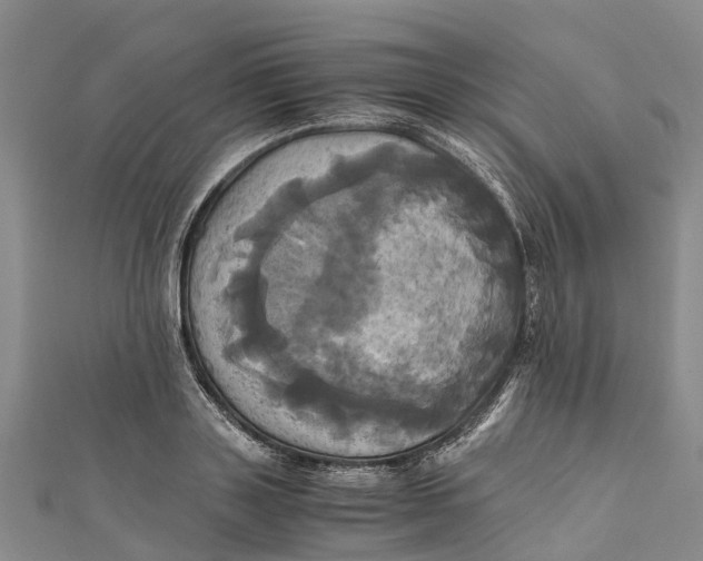 X0000110990843200907101429