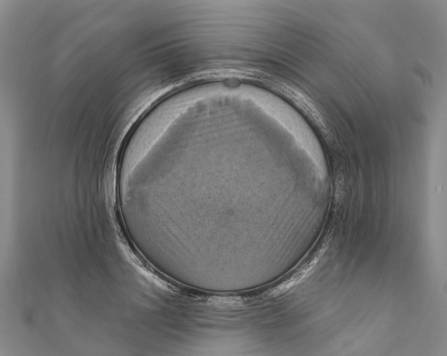 X0000110990844200907101429