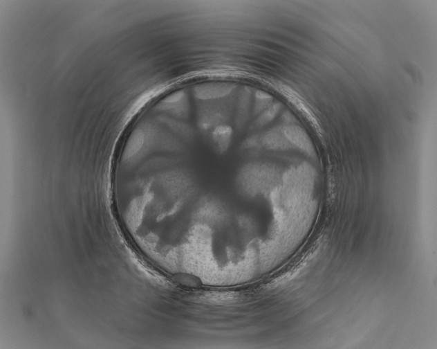 X0000110990845200907101429