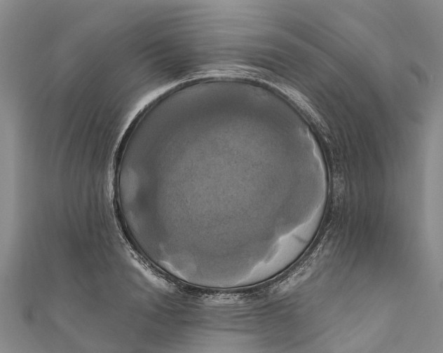 X0000110990846200907101429