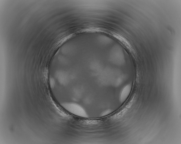 X0000110990849200907101429