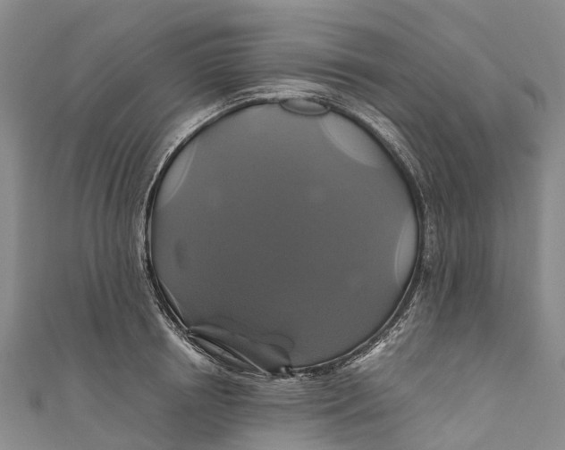 X0000110990850200907101429
