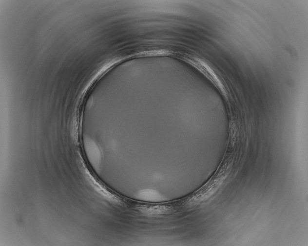 X0000110990851200907101429