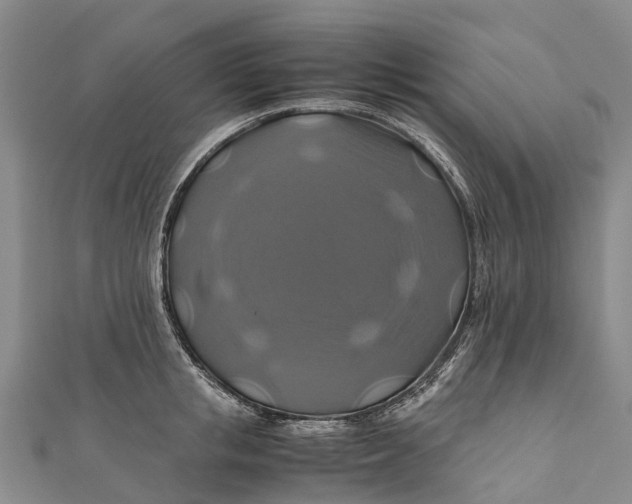 X0000110990853200907101429