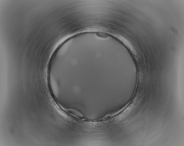 X0000110990854200907101429