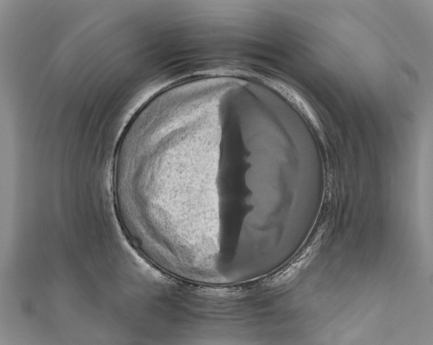 X0000110990855200907101429