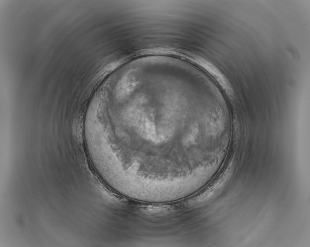 X0000110990857200907101429