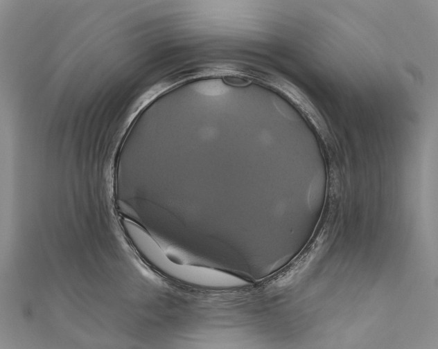 X0000110990858200907101429
