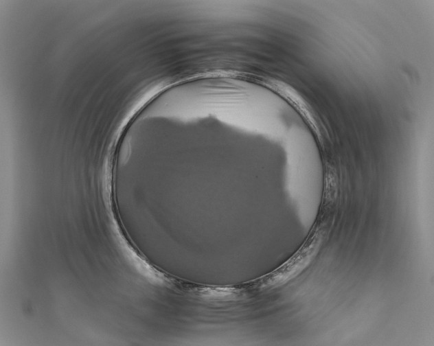 X0000110990859200907101429