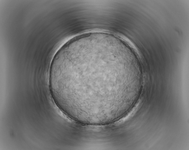 X0000110990860200907101429