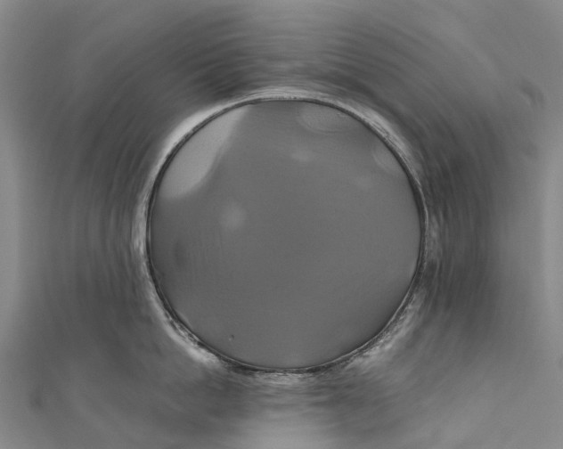 X0000110990862200907101429