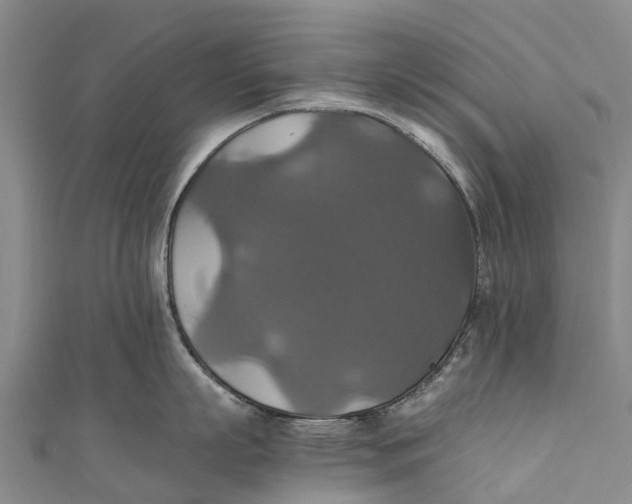 X0000110990863200907101429