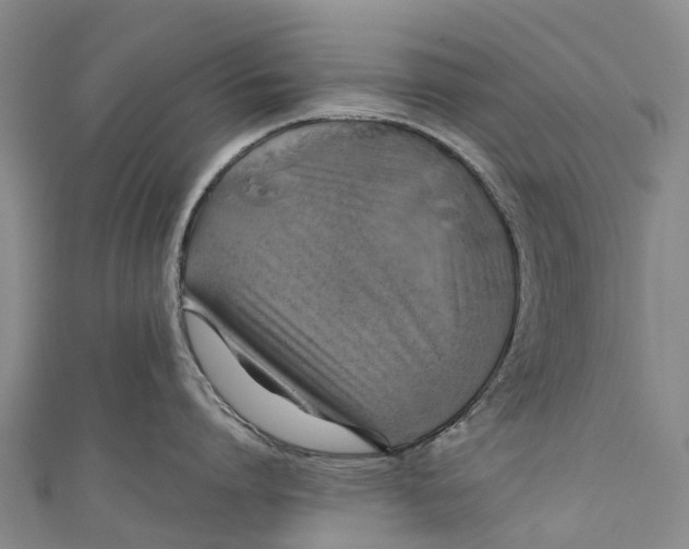X0000110990864200907101429