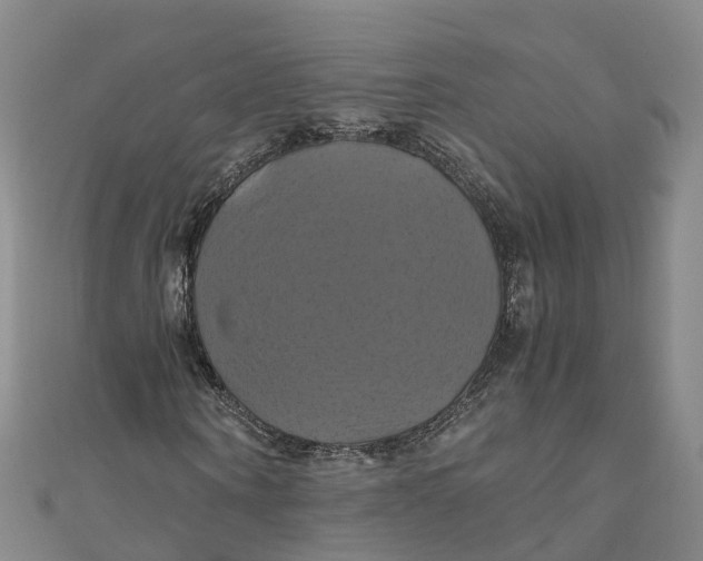 X0000110990866200907101429