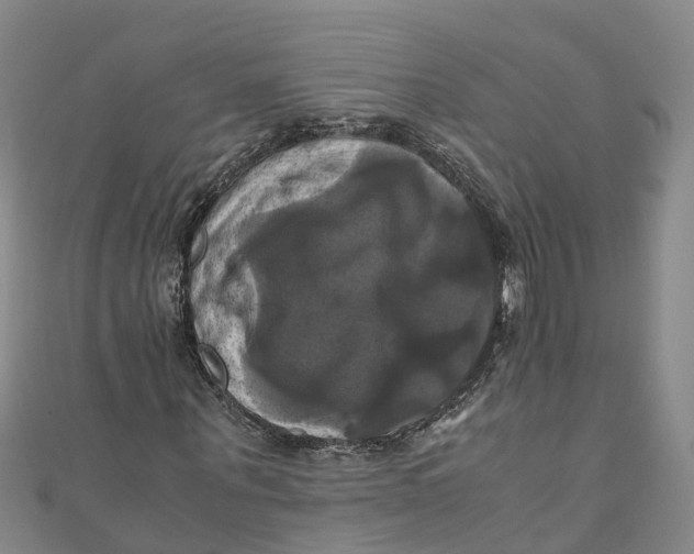 X0000110990867200907101429