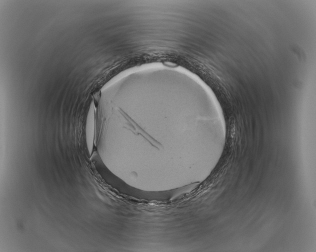 X0000110990868200907101429