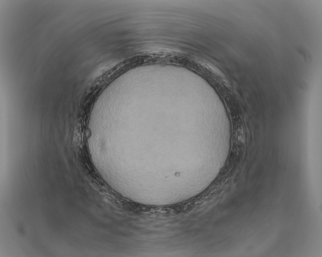 X0000110990869200907101429