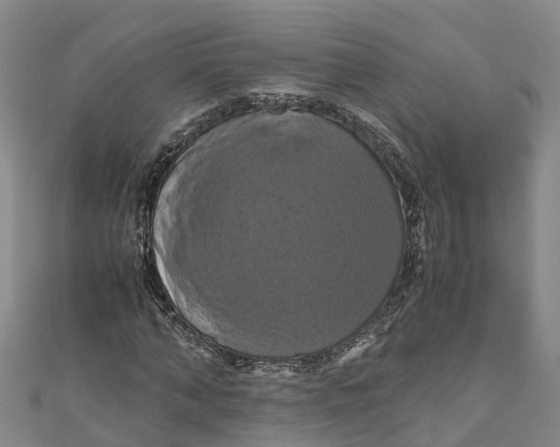 X0000110990870200907101429