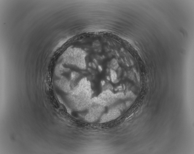 X0000110990871200907101429